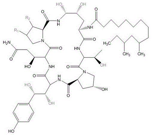 A method for purifying pneumocidine b0