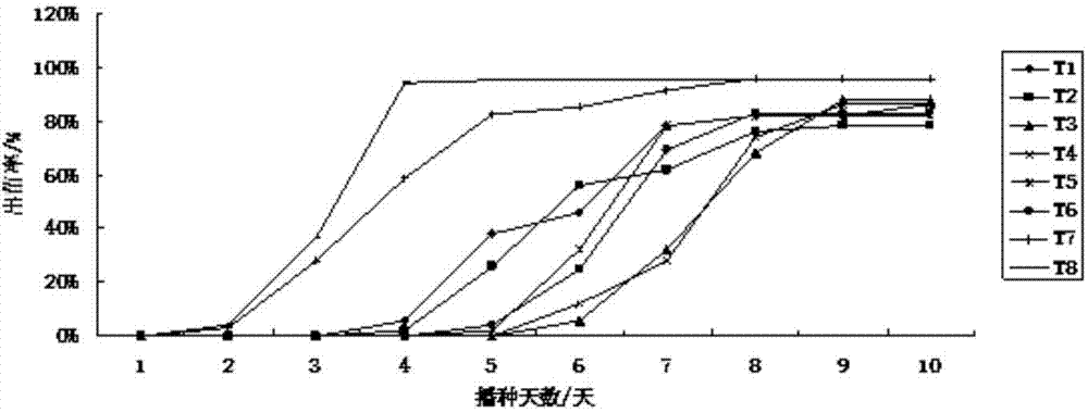 Method for artificially breeding great amounts of pea aphids