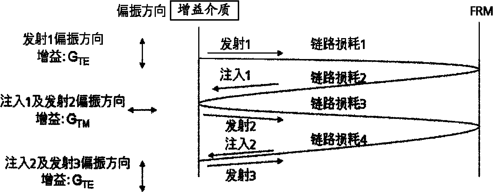 External cavity laser and WDM-PON (Wavelength Division Multiplex-Passive Optical Network) system