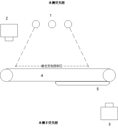 A kind of online detection method of photochromic film optical properties