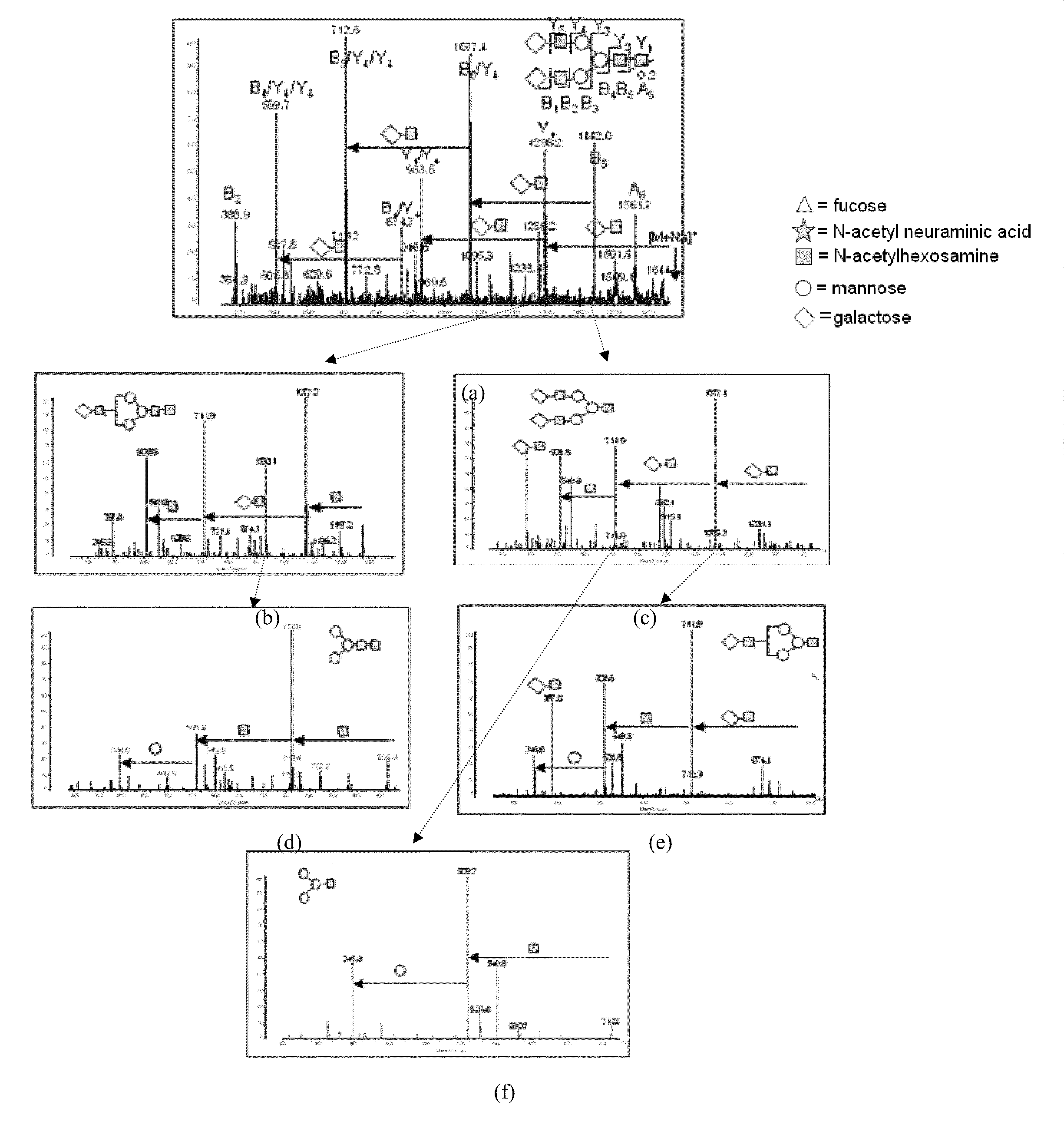 Methods and compositions for the identification of cancer markers