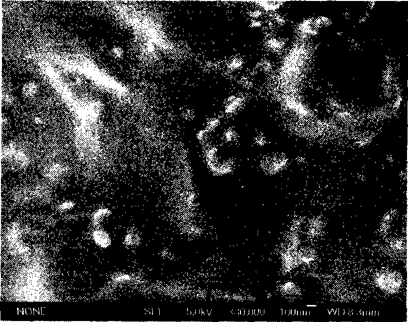 Method for preparing organic-inorganic hybrid evaporation alcohol permselective membrane