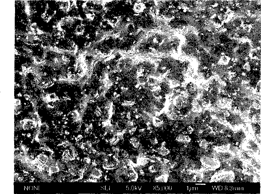 Method for preparing organic-inorganic hybrid evaporation alcohol permselective membrane