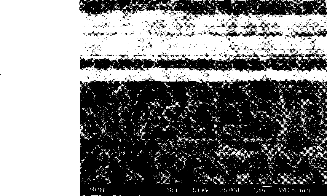 Method for preparing organic-inorganic hybrid evaporation alcohol permselective membrane