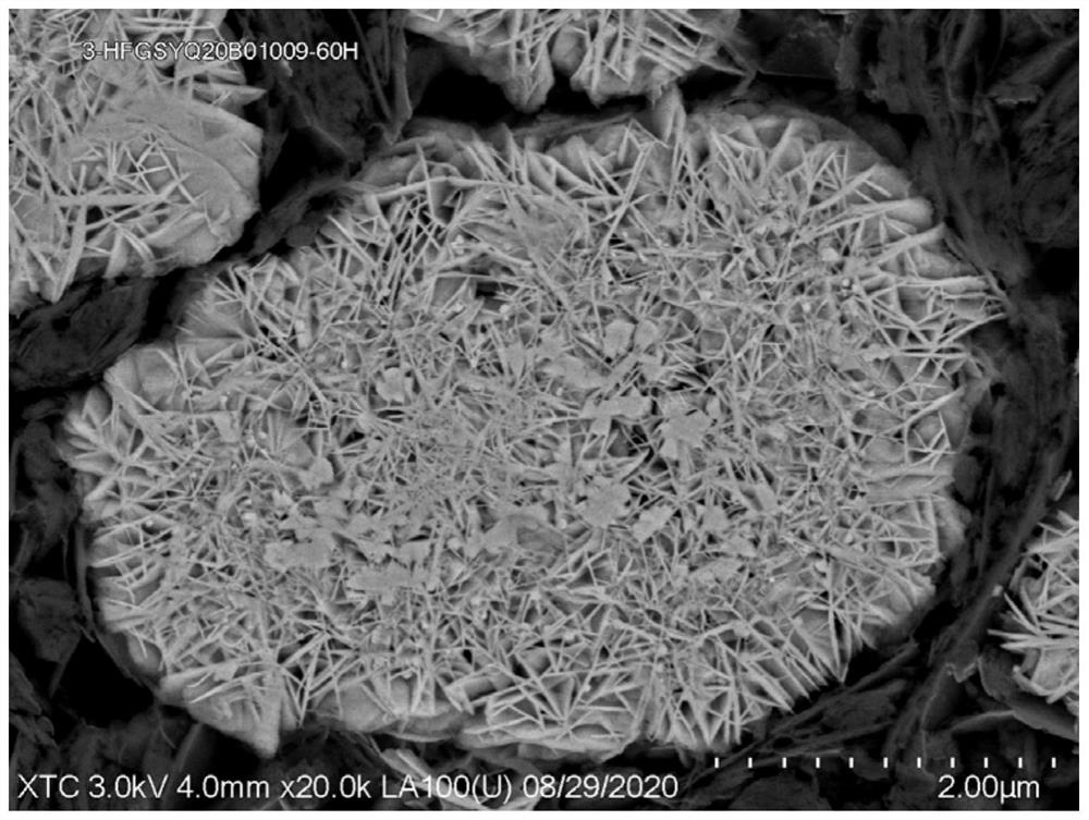 Nickel-cobalt-manganese net-shaped structure precursor, nickel-cobalt-manganese composite oxide powder as well as preparation method and application thereof