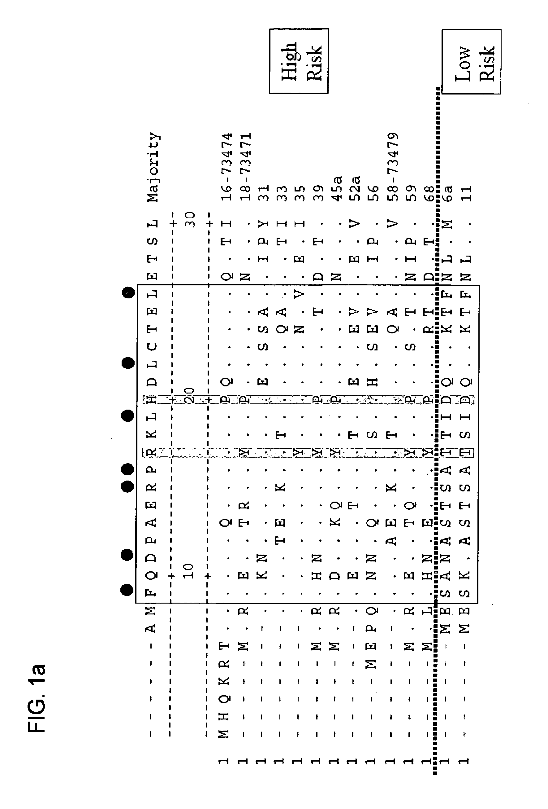 Antibodies specific to e6 proteins of HPV and use thereof