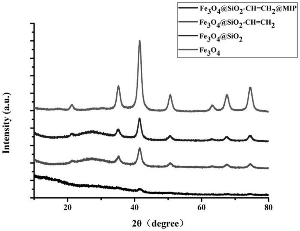 A kind of preparation method of patulin magnetic molecularly imprinted polymer