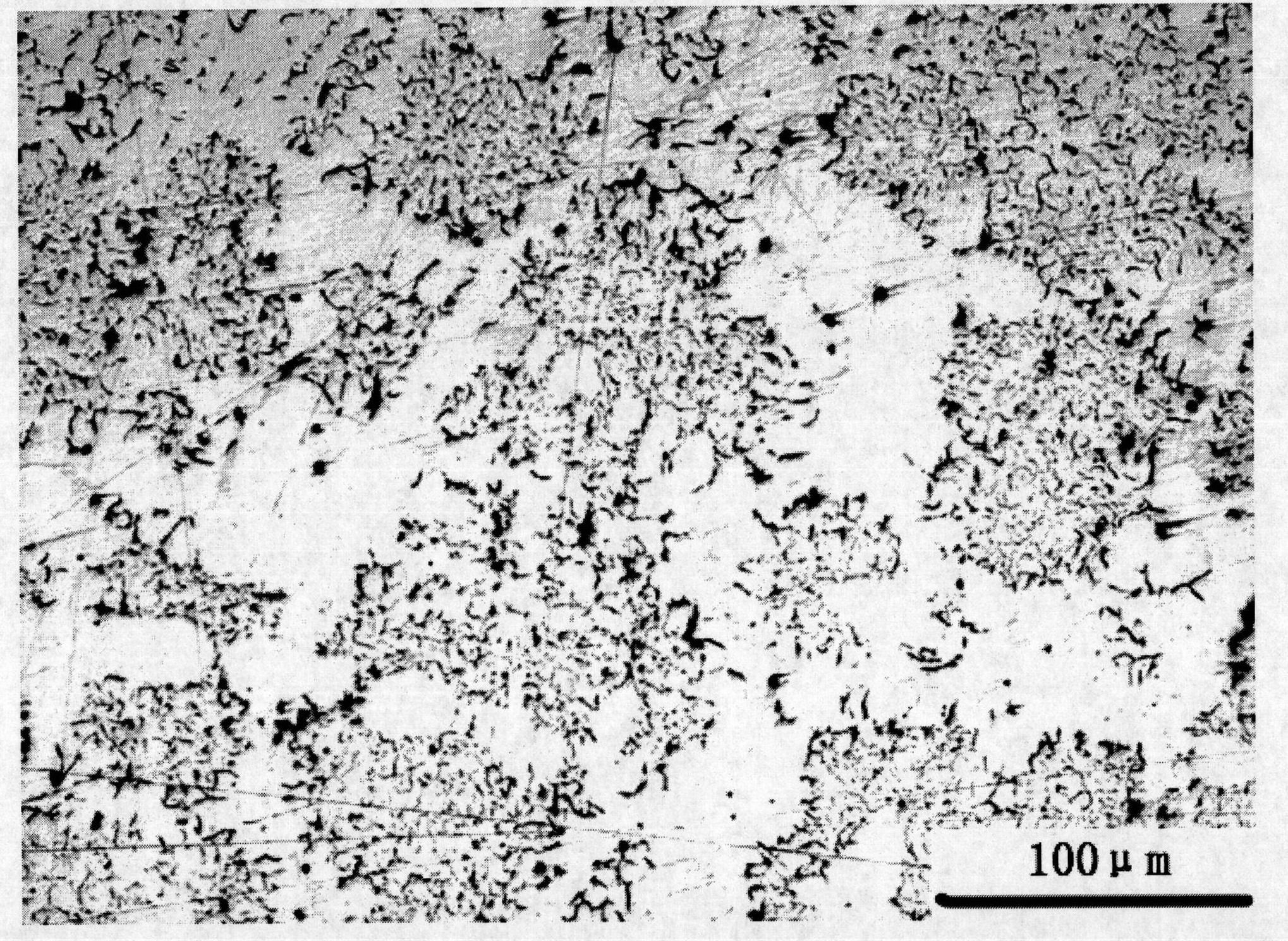 Compound inoculant used for producing D-type graphite cast iron and preparation method thereof