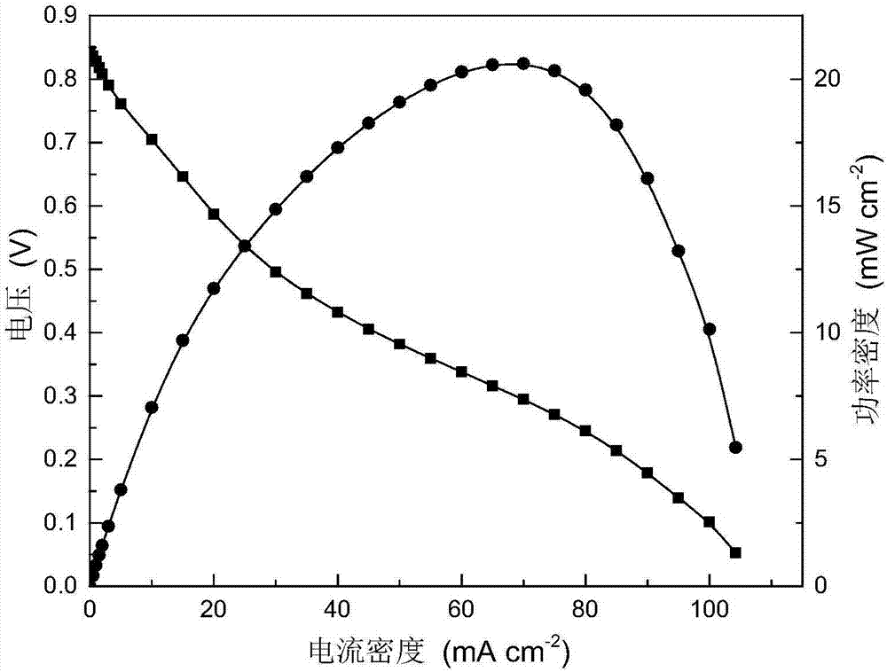 Electroalkaline salt co-produced direct-formate fuel cell