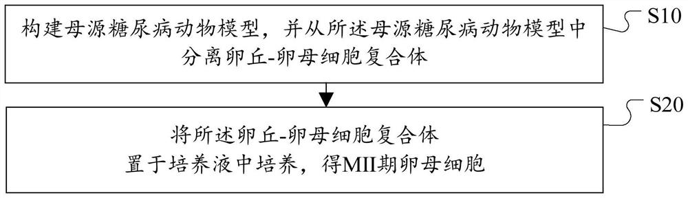 Culture solution, and method for improving quality of maternal diabetic ova