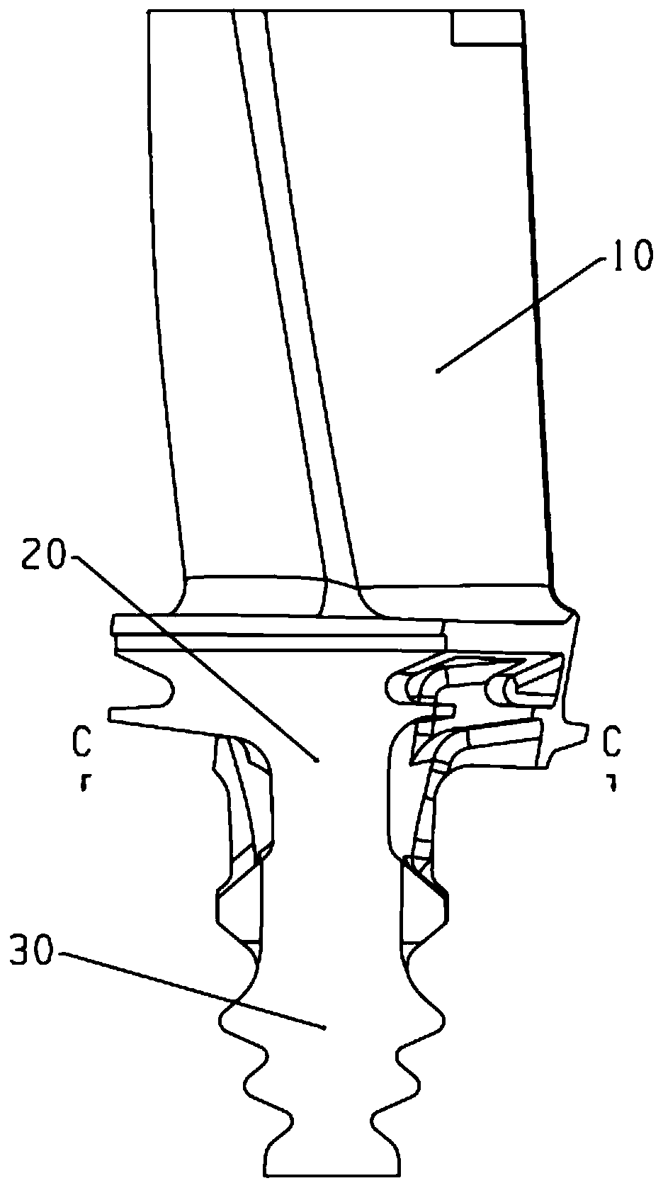 An extension structure suitable for adjusting the position of the center of gravity of tenon-connected rotor blades