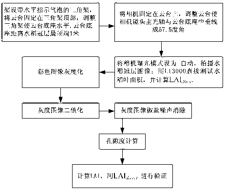 Method of acquiring leaf area index (LAI) of rice canopy by using common digital camera