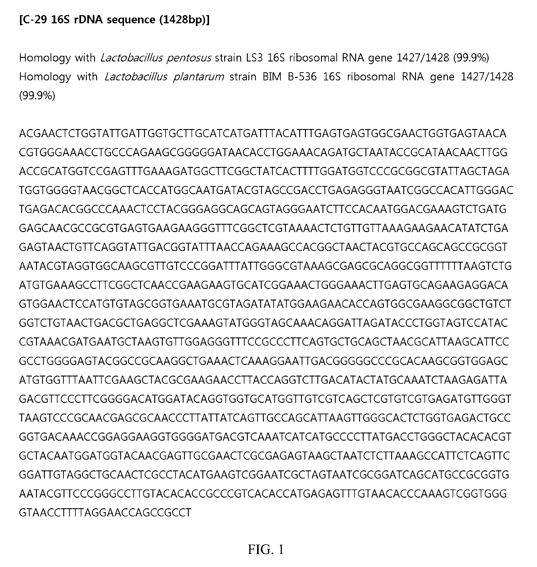 Lactic acid bacteria capable of preventing and/or treating senescence and dementia