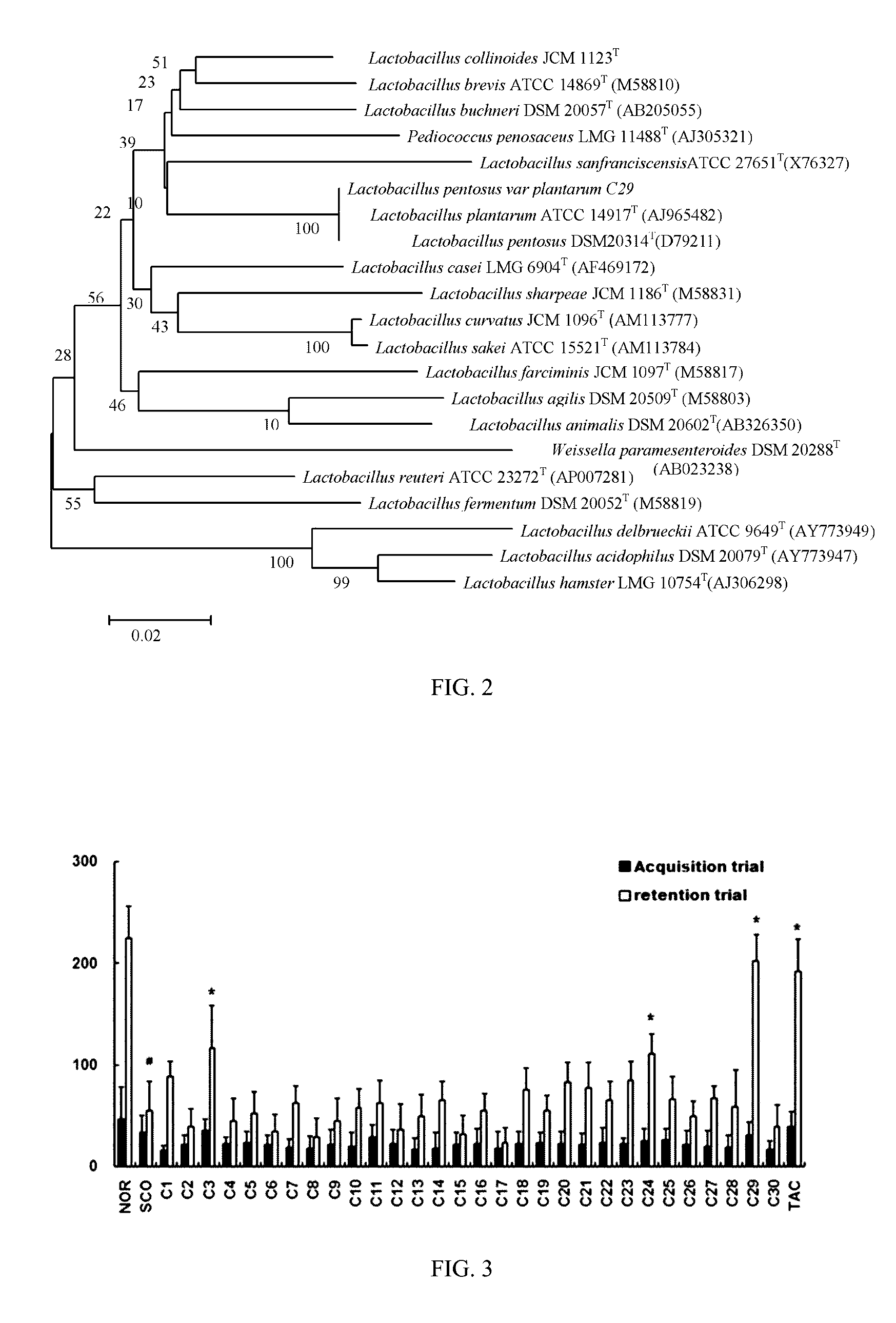 Lactic acid bacteria capable of preventing and/or treating senescence and dementia