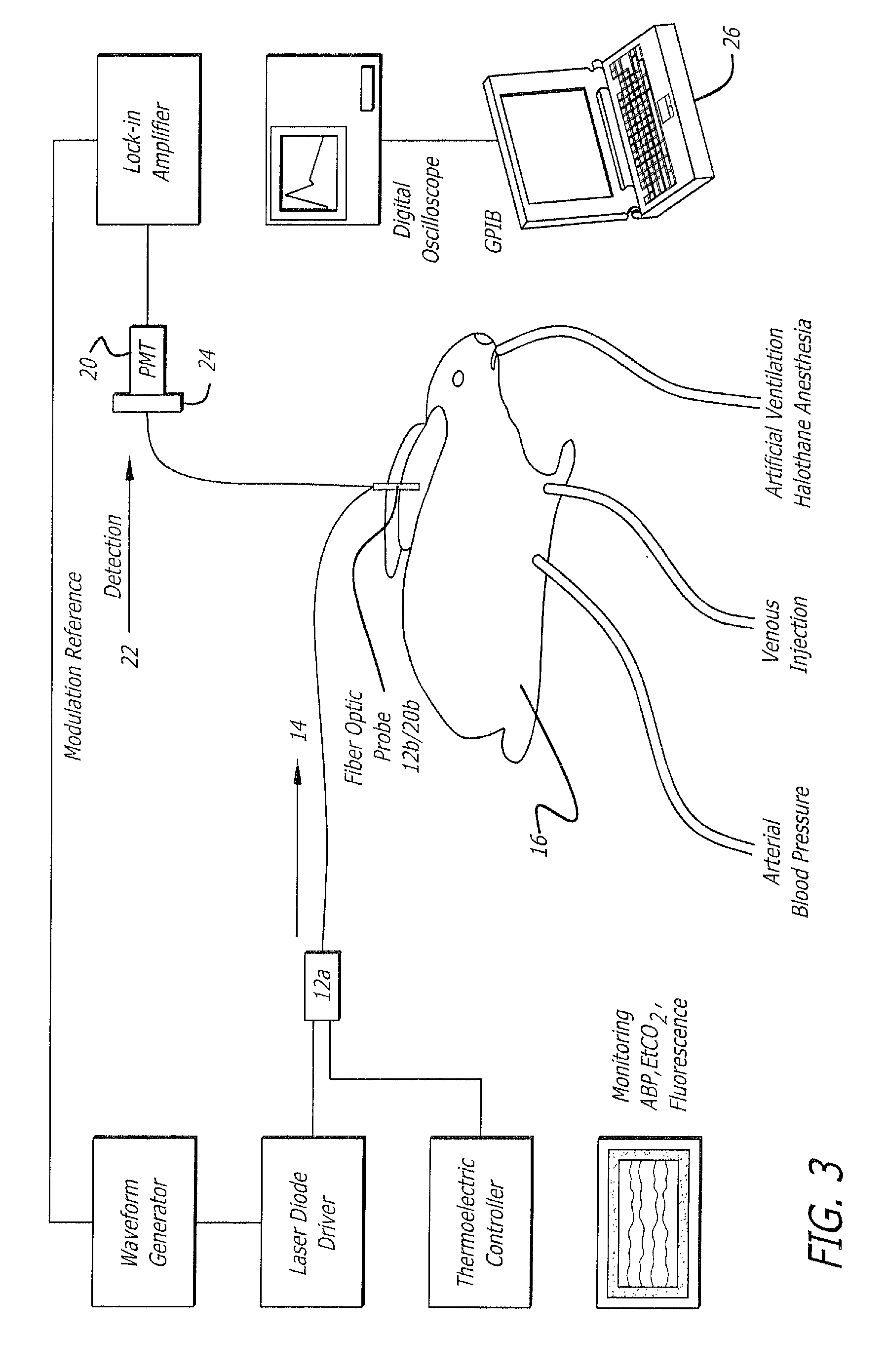 Measurement of cardiac output and blood volume by non-invasive detection of indicator dilution