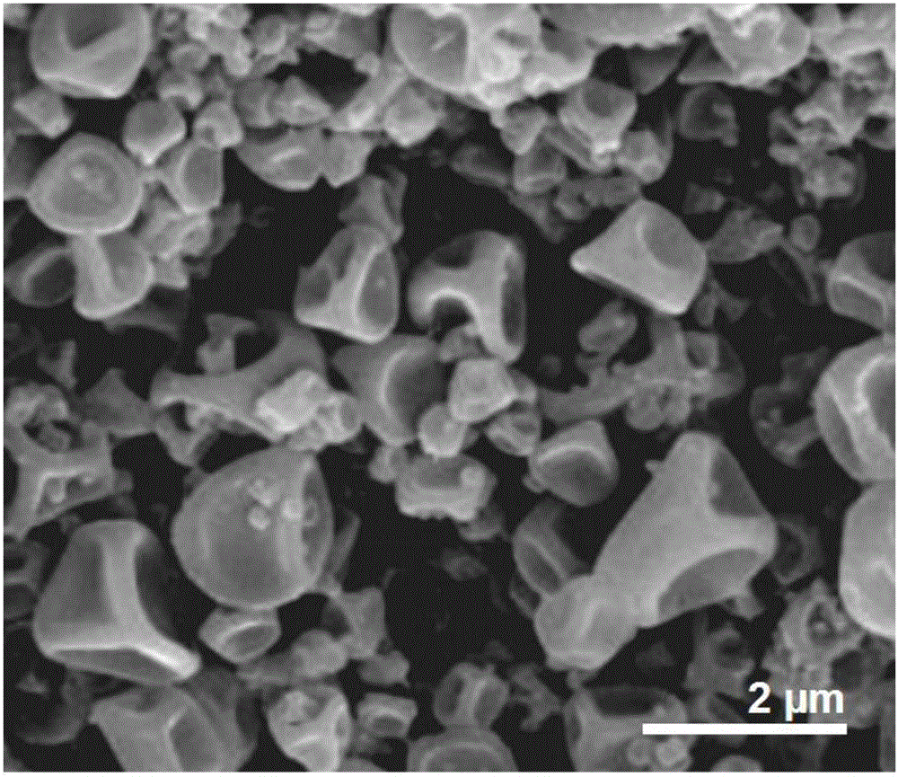 Drug-loaded protein microparticles and preparation method thereof