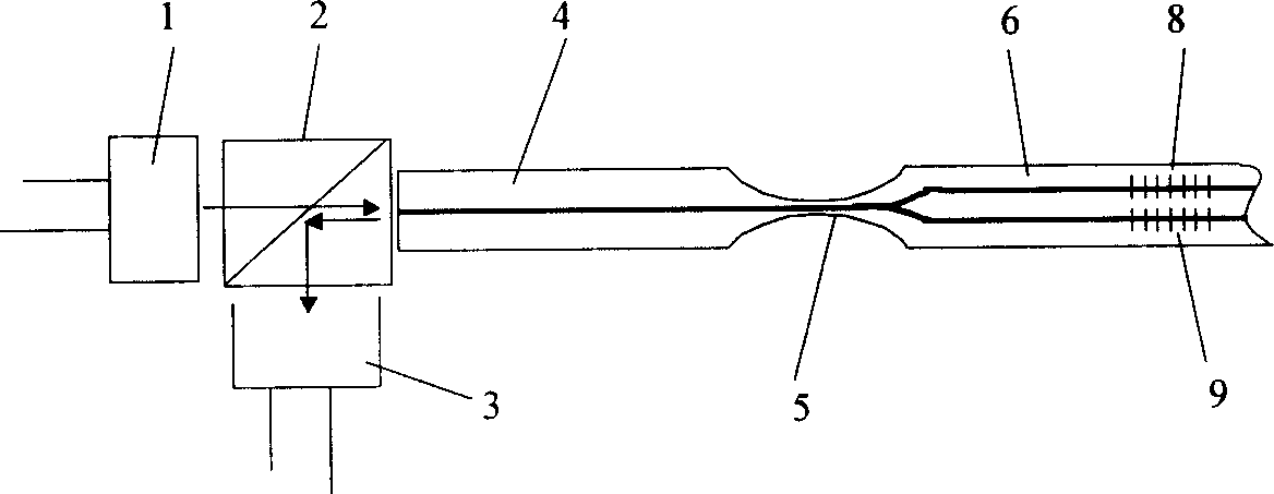 Michelson's interferometer integrated into single optical fiber