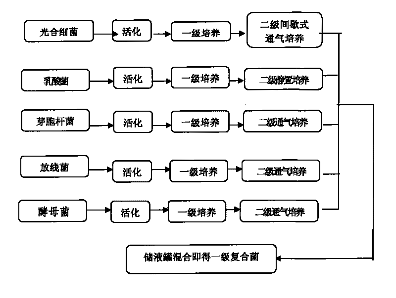 Compound microbial preparation for treating diabetes, preparation method thereof and application thereof