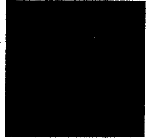 Large size strontium borophosphate nonlinear optical crystal and its growth method and use