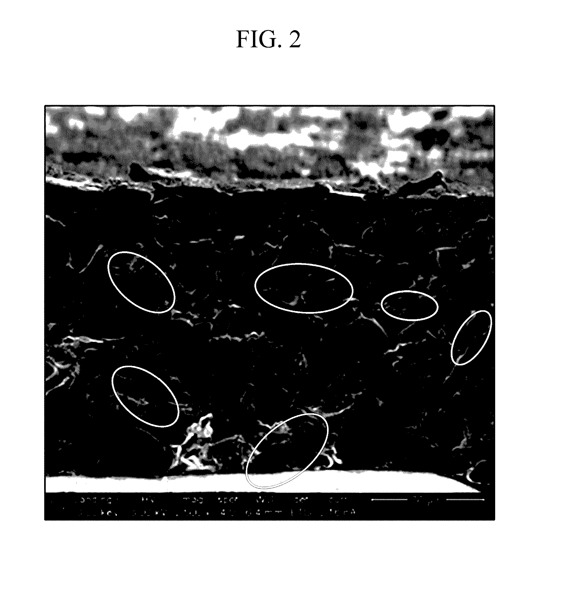 Negative electrode for rechargeable lithium battery and rechargeable lithium battery including same