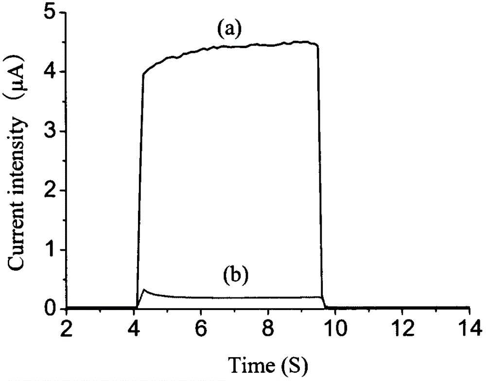 Nano photoelectronchemical sensor for detecting dopamine with high sensitivity