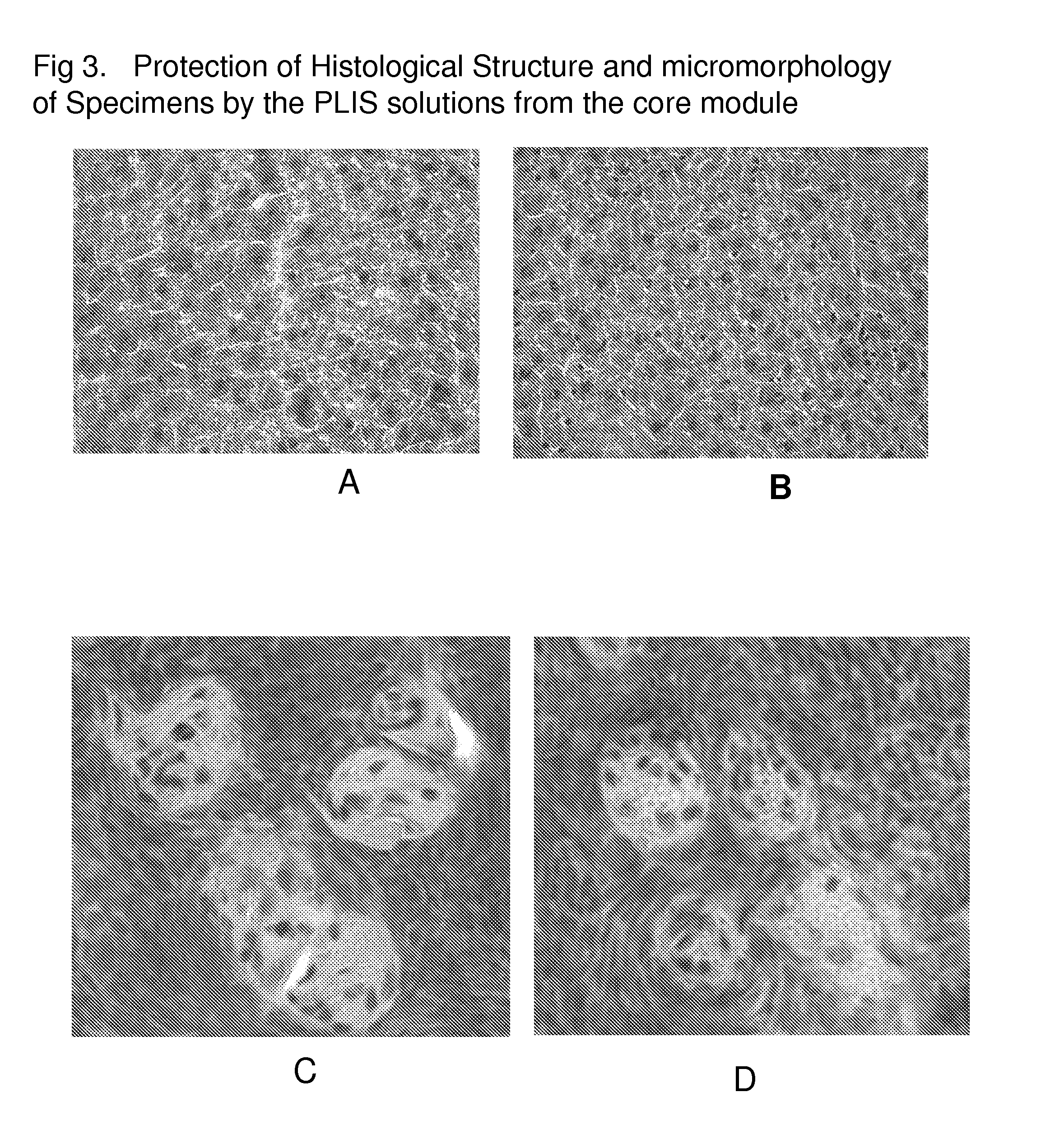 Integrated versatile and systems preparation of specimens