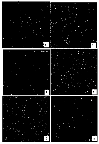 Engineering bacterium for efficiently expressing recombinant ChIFN-alpha