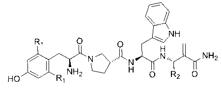 Synthesis and application of multi-site modified endomorphin-1 analogue