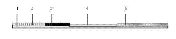 Brown meat essence multi-residue combined detection test paper card and preparation method thereof