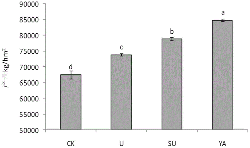 Biochar-based slow-release nitrogen fertilizer and preparation method thereof