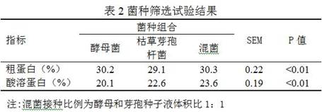 Microbial fermented yellow distiller's grains feed for improving rumen protein utilization rate and preparation method