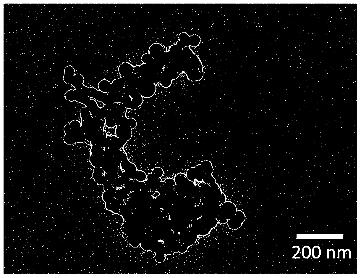 Space-level cyanate resin based on nanoparticle modification, and preparation method thereof