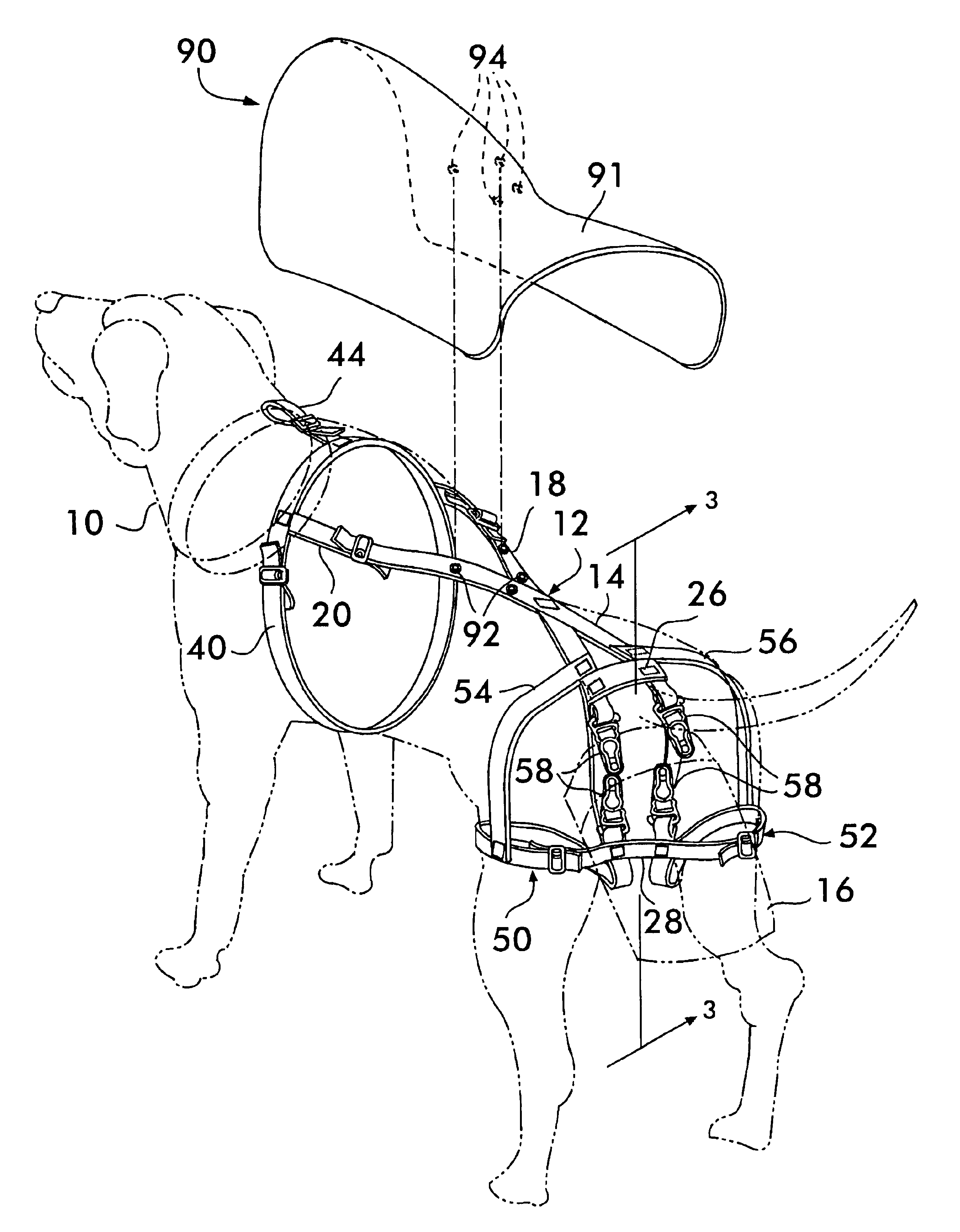 Device for collection of animal waste