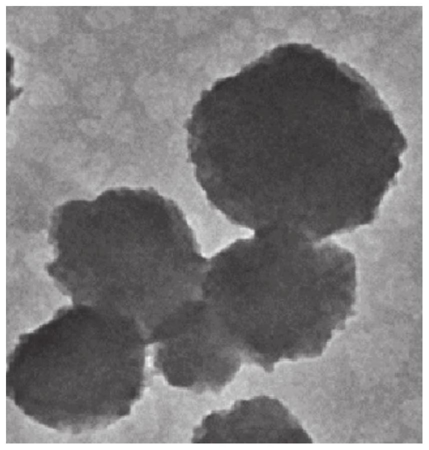 A gene and chemical small molecule co-delivery system and its application in tumor therapy