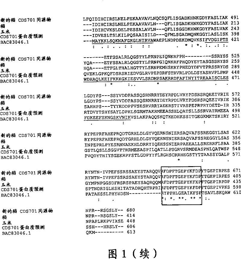 Plants having improved growth characteristics and method for making the same