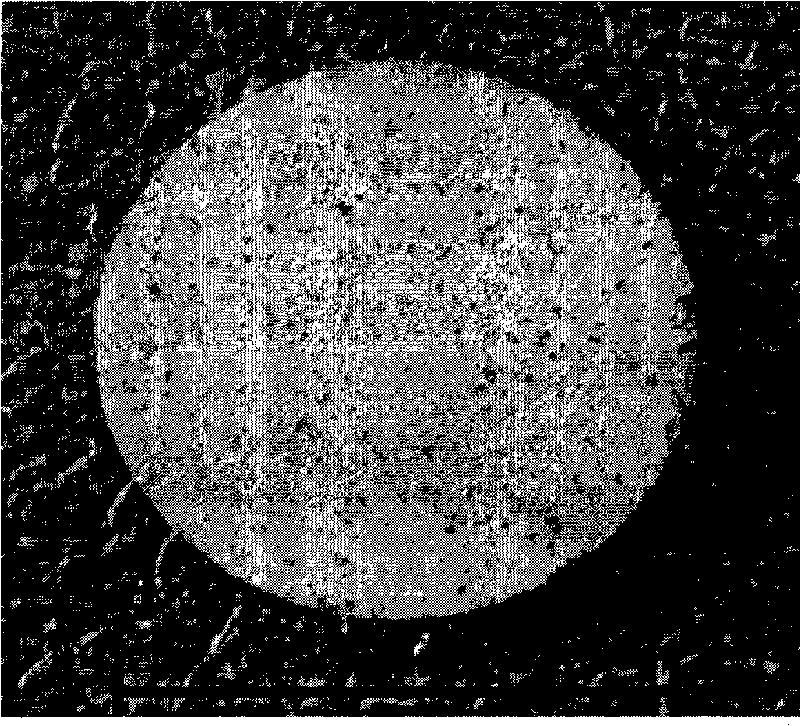 Method of preparing nickel-aluminum base alloy porous material