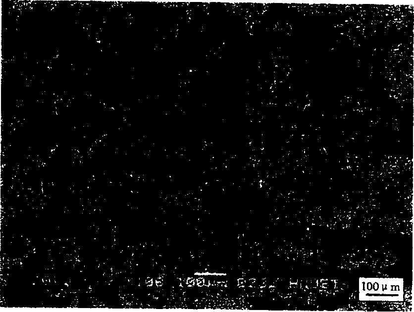 Method for preparing particle reinforced Fe-C composite material with big section and high volume fraction