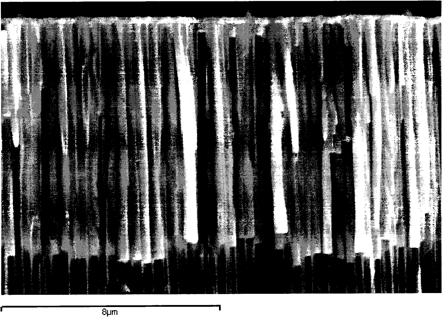 Composite wave absorbing material and preparation method thereof