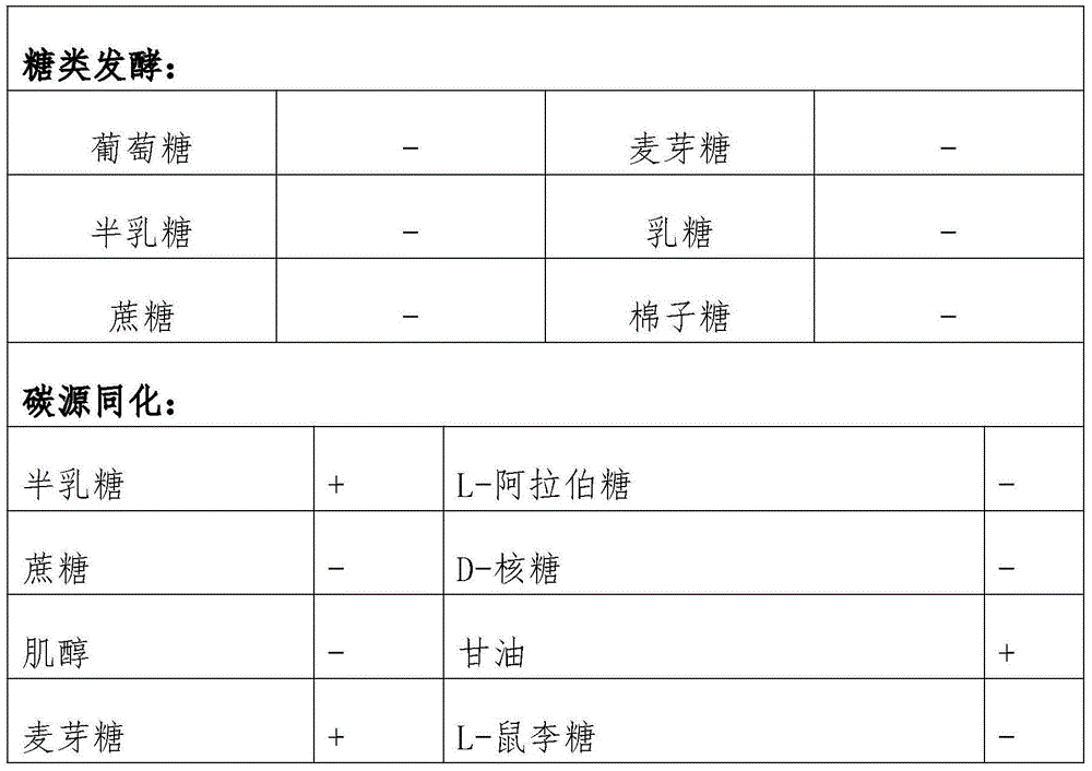 Cellulose degradation bacteria agent and raw material strain, and preparation methods and application of cellulose degradation bacteria agent and raw material strain