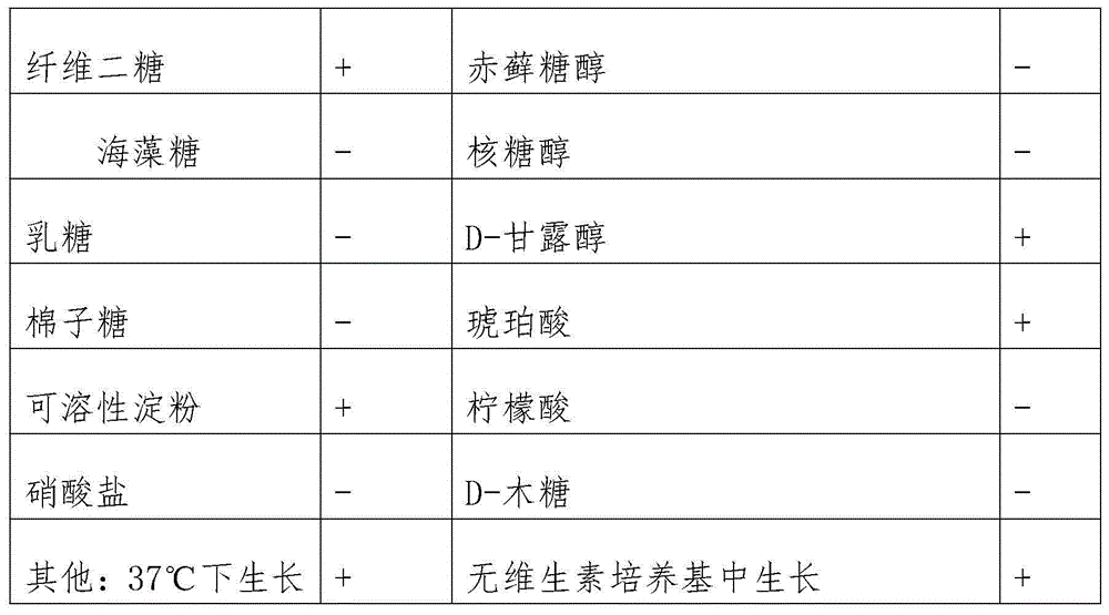 Cellulose degradation bacteria agent and raw material strain, and preparation methods and application of cellulose degradation bacteria agent and raw material strain