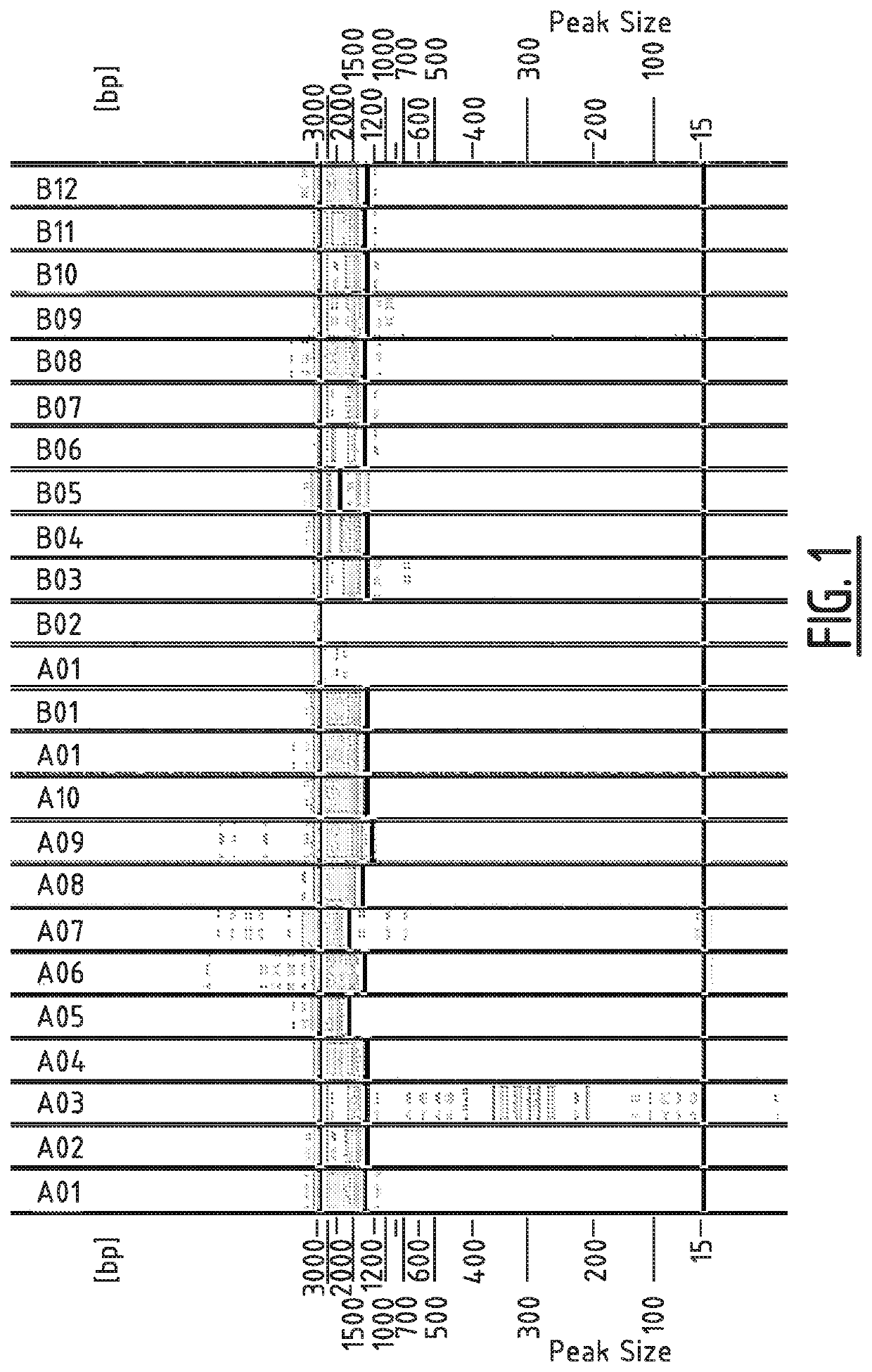 Method for modifying the resistance profile of <i>spinacia oleracea </i>to downy mildew