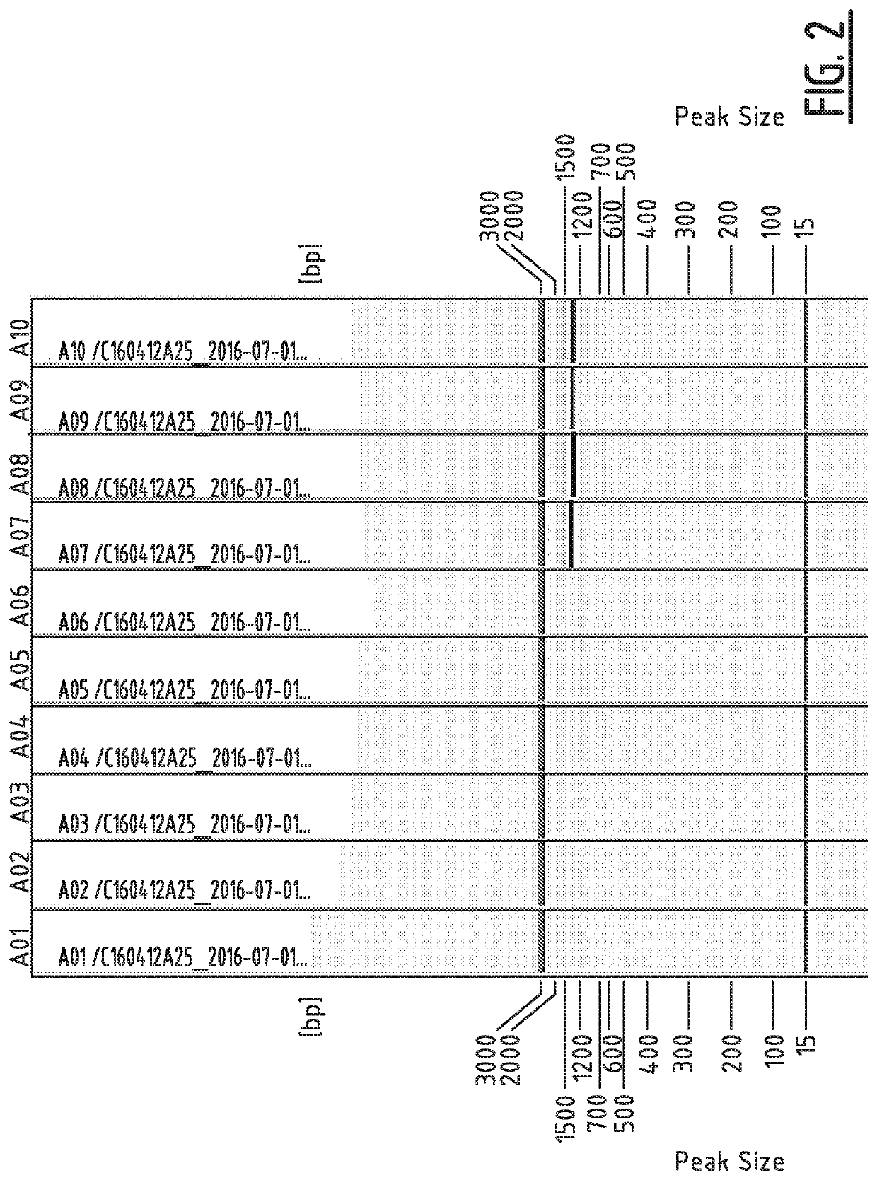 Method for modifying the resistance profile of <i>spinacia oleracea </i>to downy mildew