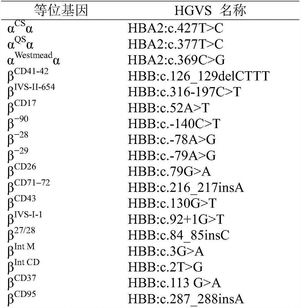 Rapid detection kit aiming at thalassemia mutant genes common in Chinese crowds