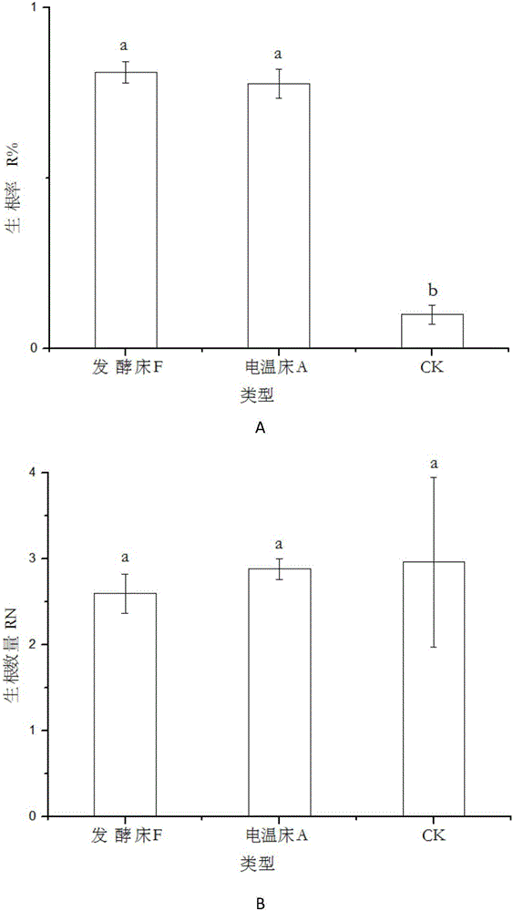 Method for using fermentation warming bed to conduct hardwood cutting of carya illinoensis