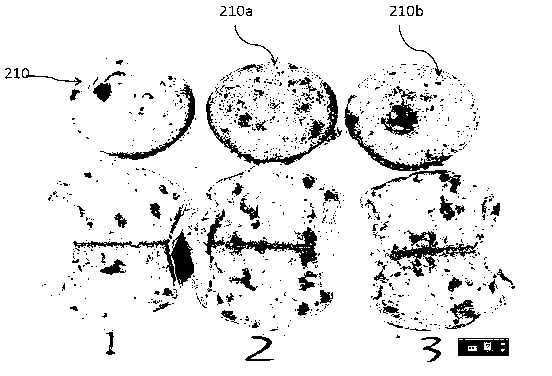 Egg substitute and preparation method thereof