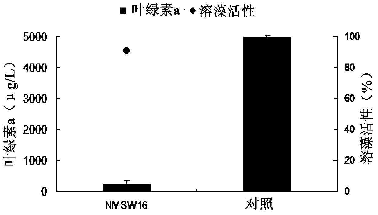 Bacillus cereus and application thereof