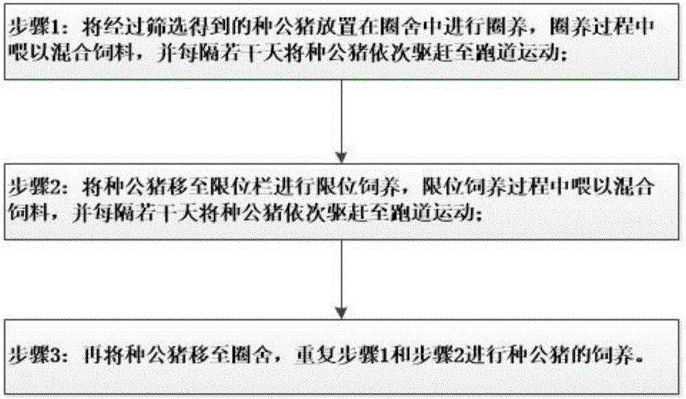 Mixed boar breeding method and device