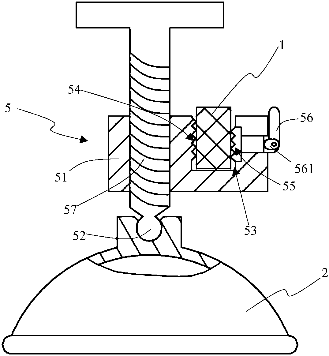 Muscle traction device