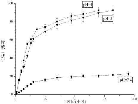 Folic acid-benzaldehyde nitrogen mustard-HPMA macromolecule copolymer and preparation and application thereof