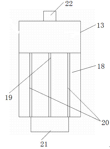 Novel automatic-feeding ecological fish tank